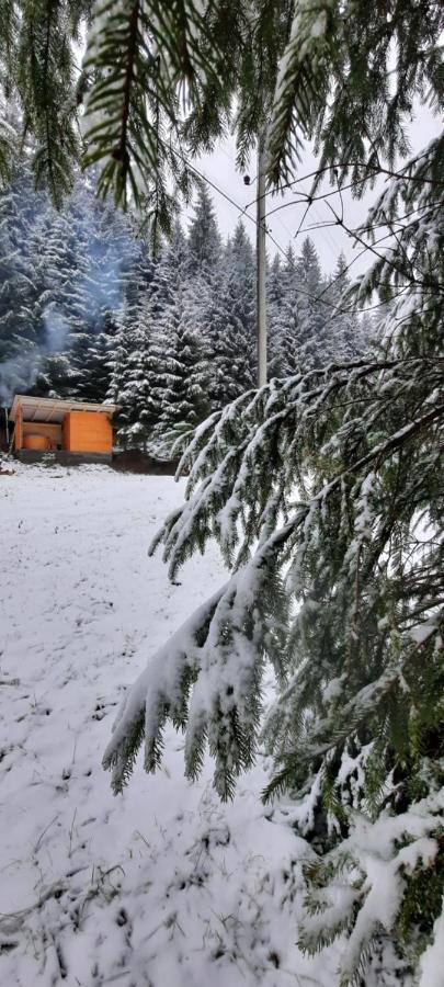 Сімейний Номер 1 Садиба У Ані Synevyrsʼka Polyana Exteriör bild